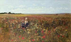 The Poppyfield, 1897